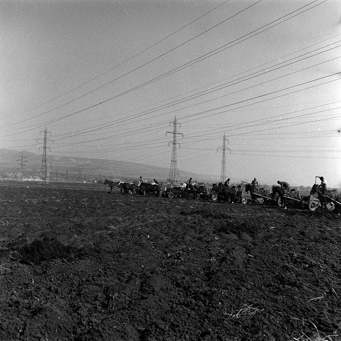 minerva_1986-1987_agrar_c3r2_002