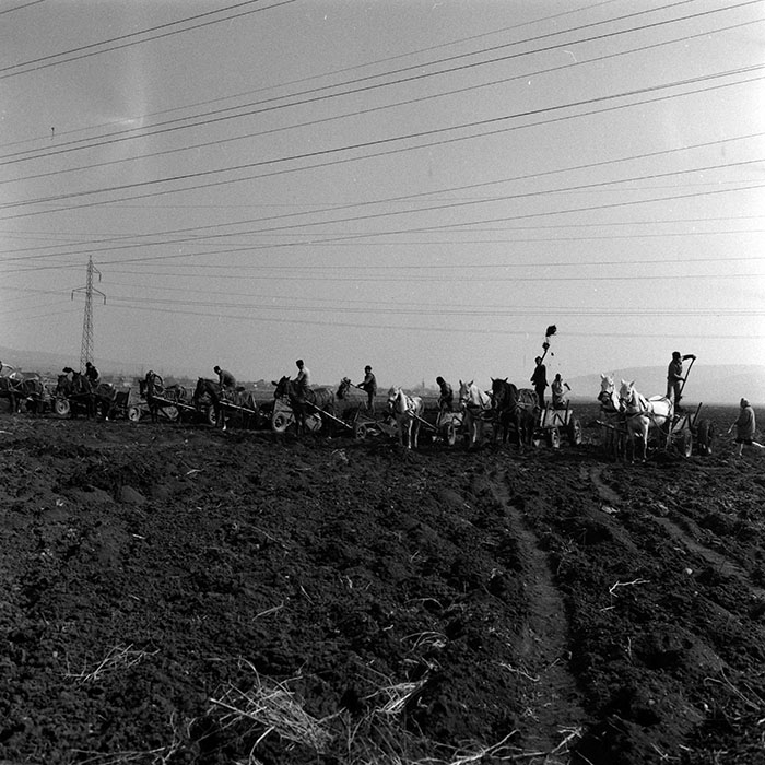 minerva_1986-1987_agrar_c3r2_003