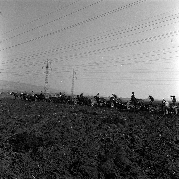 minerva_1986-1987_agrar_c3r2_004