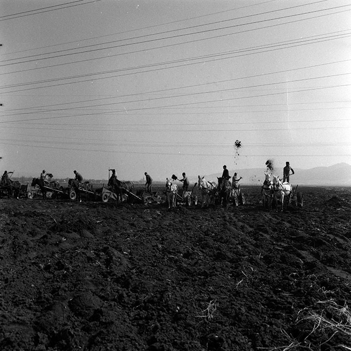 minerva_1986-1987_agrar_c3r2_005