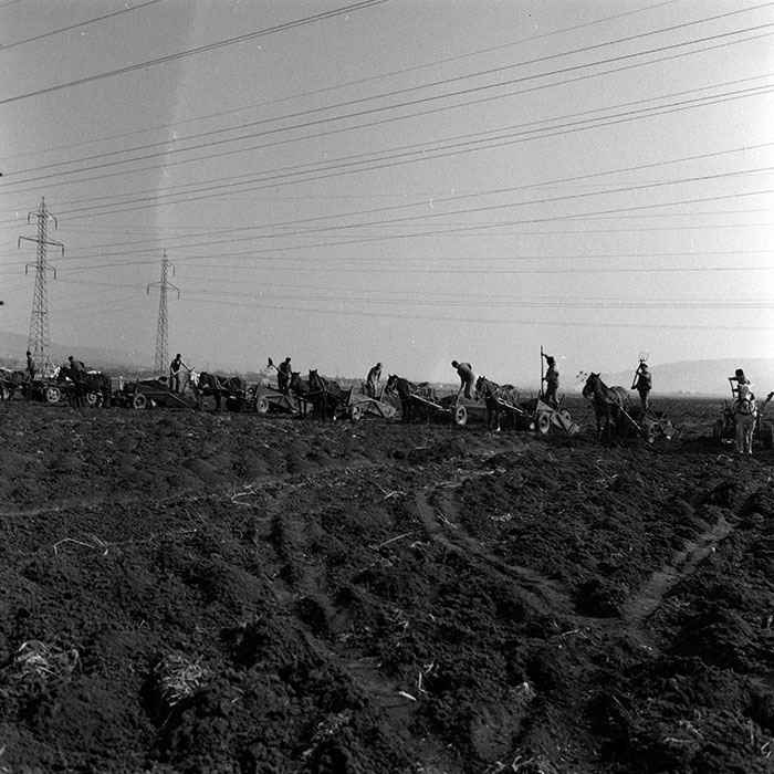 minerva_1986-1987_agrar_c3r2_006