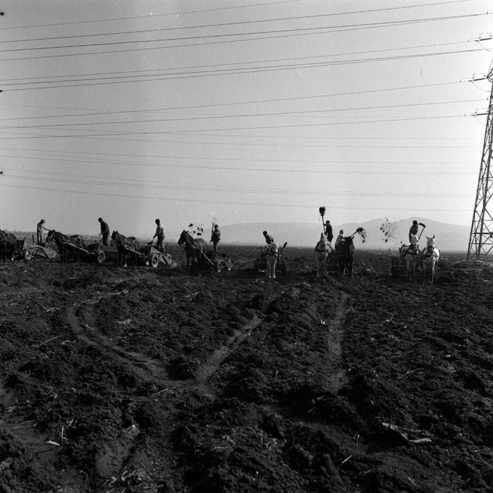 minerva_1986-1987_agrar_c3r2_007