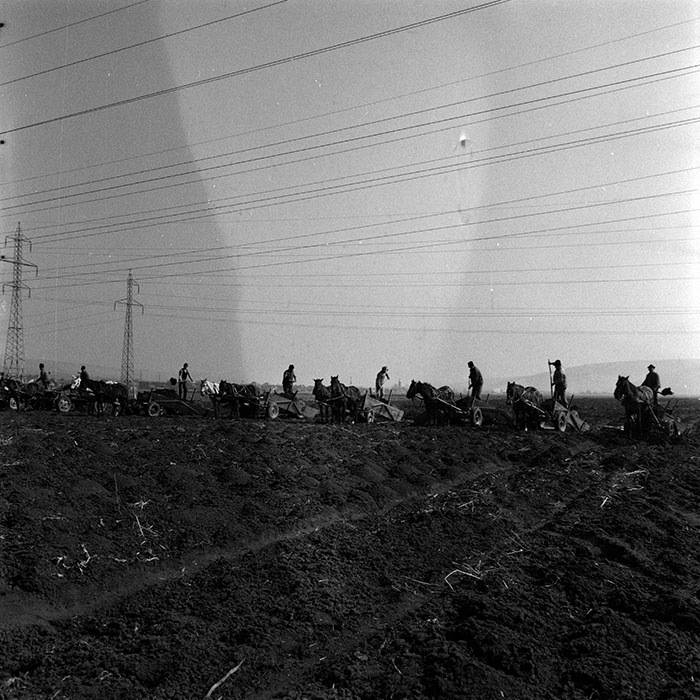 minerva_1986-1987_agrar_c3r2_008