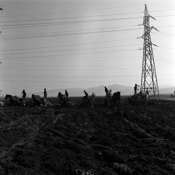 minerva_1986-1987_agrar_c3r2_009