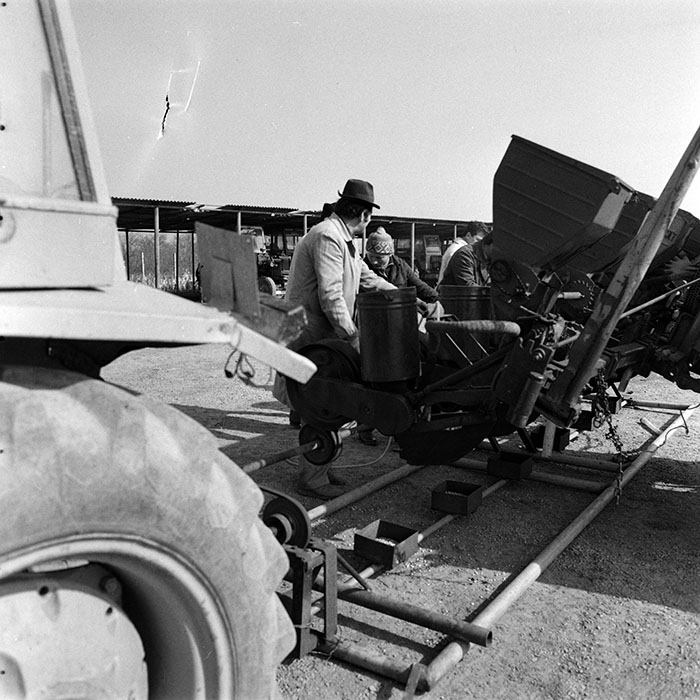 minerva_1986-1987_agrar_c3r2_010