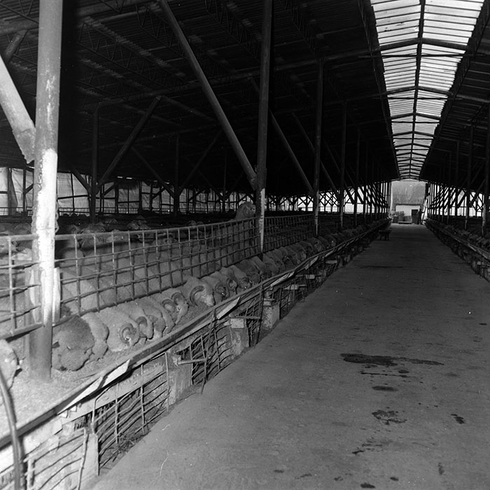 minerva_1986-1987_agrar_c3r3_006