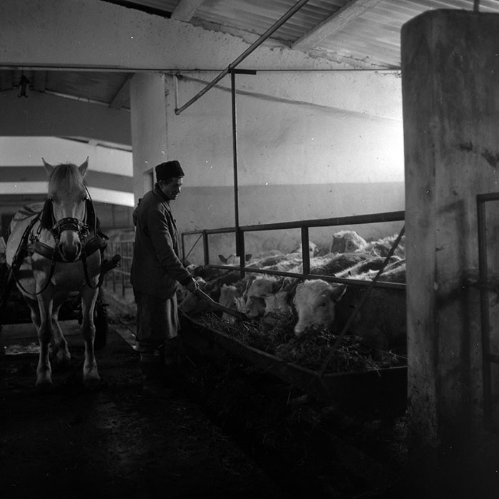 minerva_1986-1987_agrar_c3r4_009