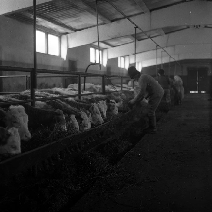 minerva_1986-1987_agrar_c3r4_011