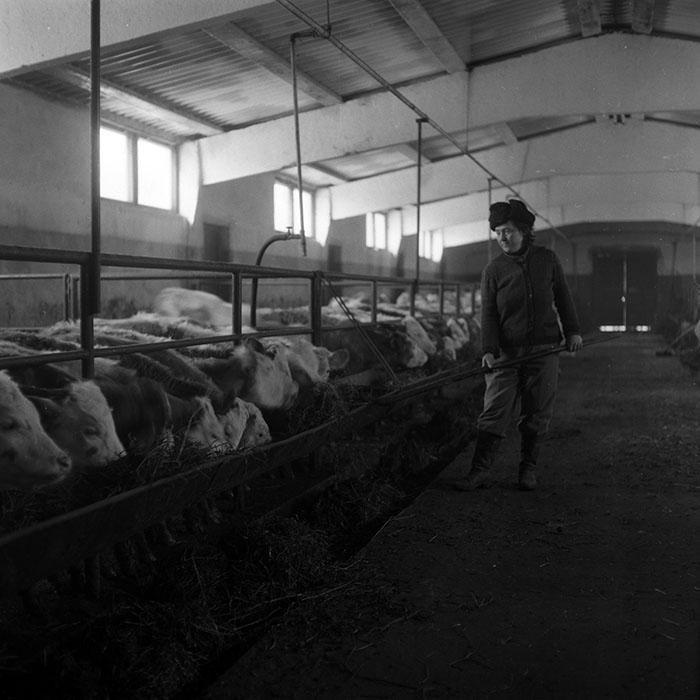 minerva_1986-1987_agrar_c3r4_012