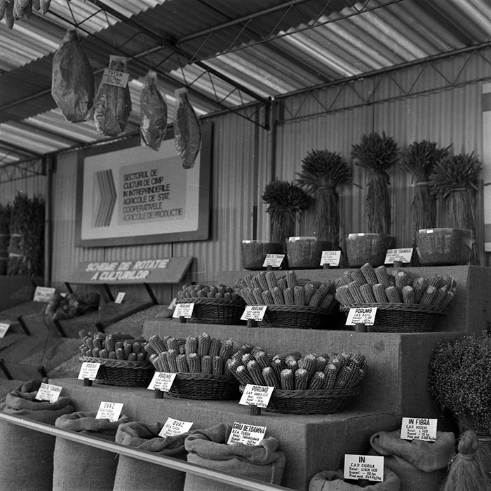 minerva_1986-1987_agrar_c3r5_002