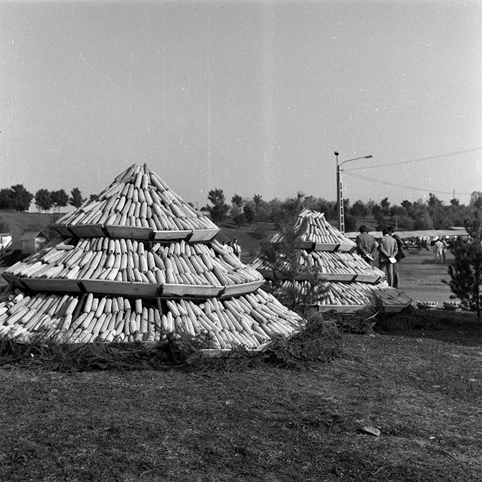 minerva_1986-1987_agrar_c3r5_011