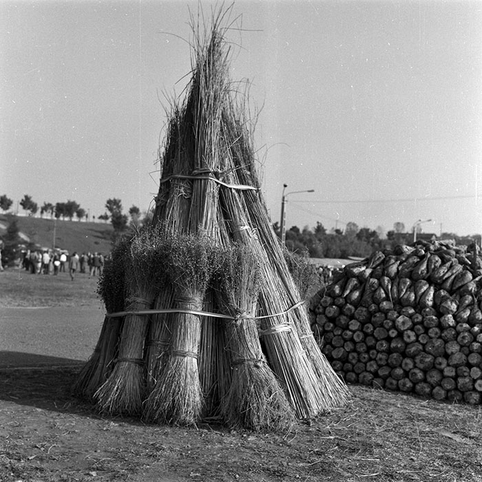 minerva_1986-1987_agrar_c3r5_012