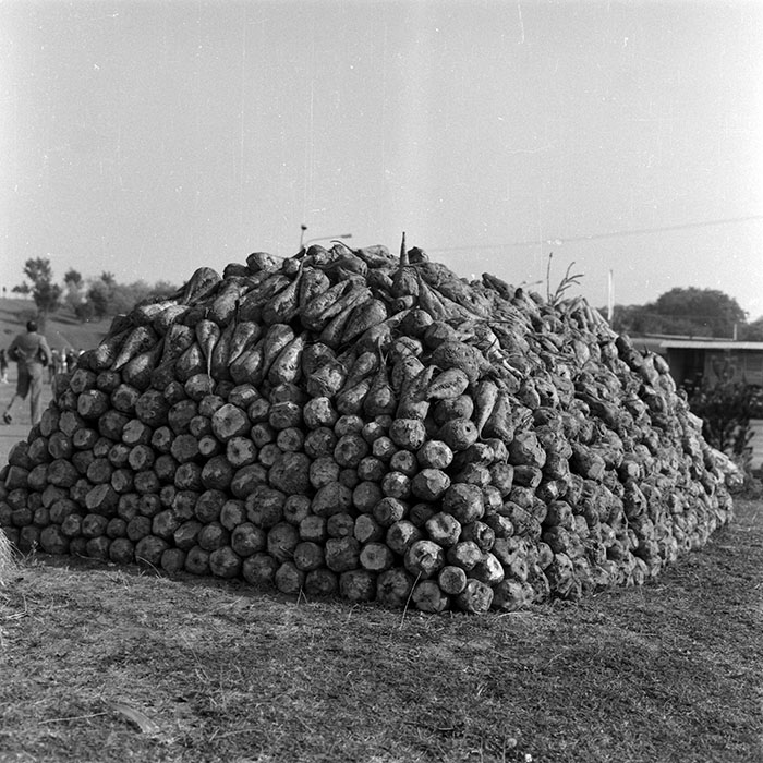 minerva_1986-1987_agrar_c3r5_013