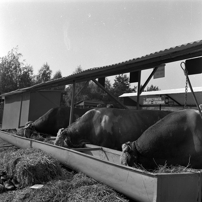 minerva_1986-1987_agrar_c3r5_015