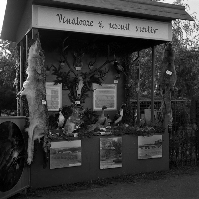 minerva_1986-1987_agrar_c3r5_016