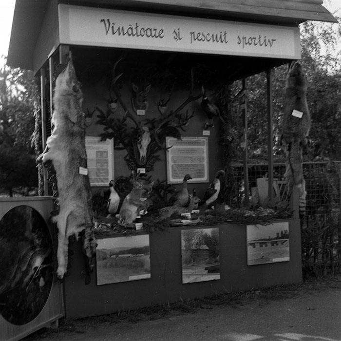 minerva_1986-1987_agrar_c3r5_017