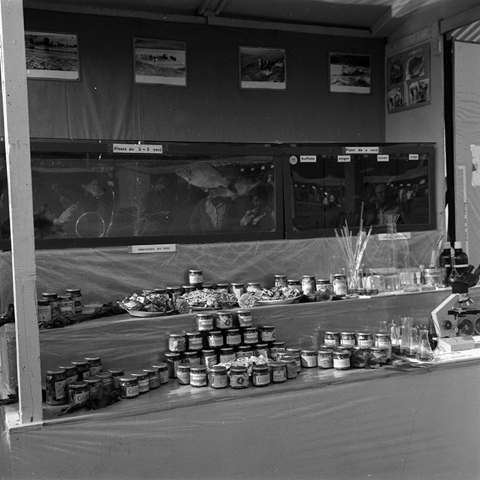 minerva_1986-1987_agrar_c3r5_018