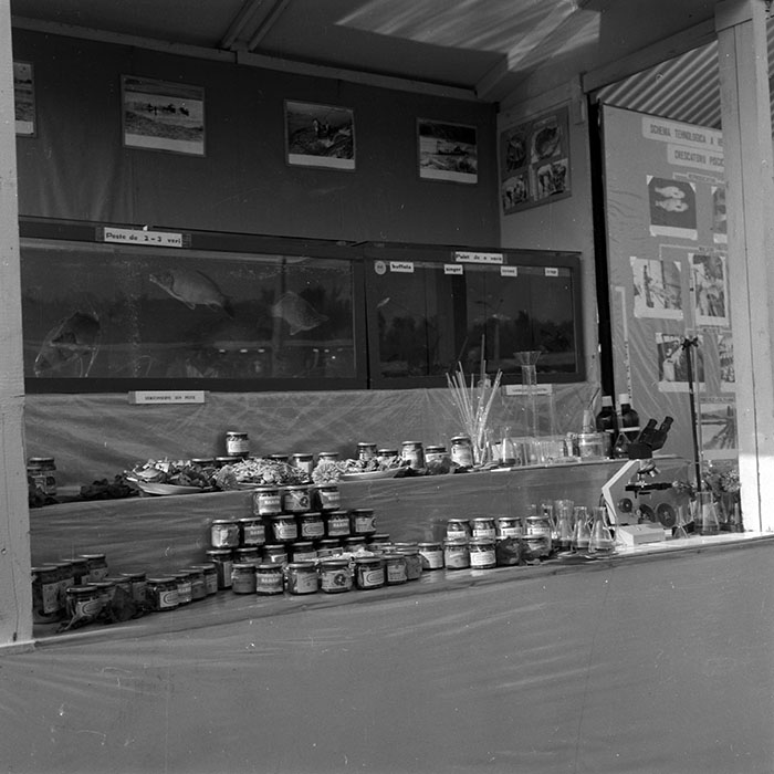 minerva_1986-1987_agrar_c3r5_019