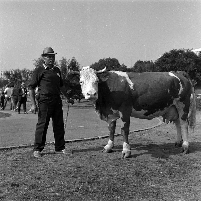 minerva_1986-1987_agrar_c4r1_002