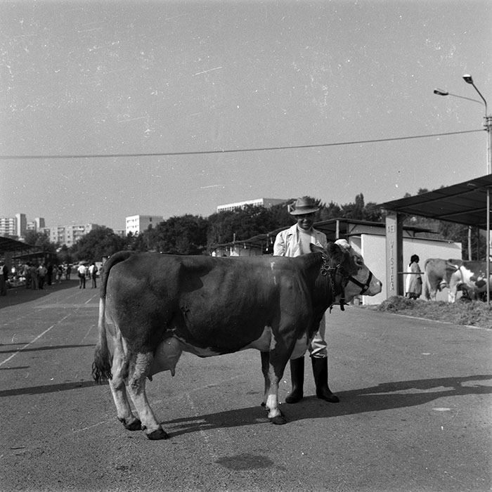 minerva_1986-1987_agrar_c4r1_004