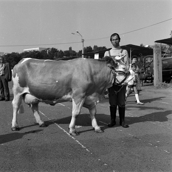 minerva_1986-1987_agrar_c4r1_007