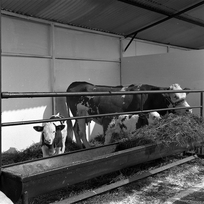 minerva_1986-1987_agrar_c4r1_009