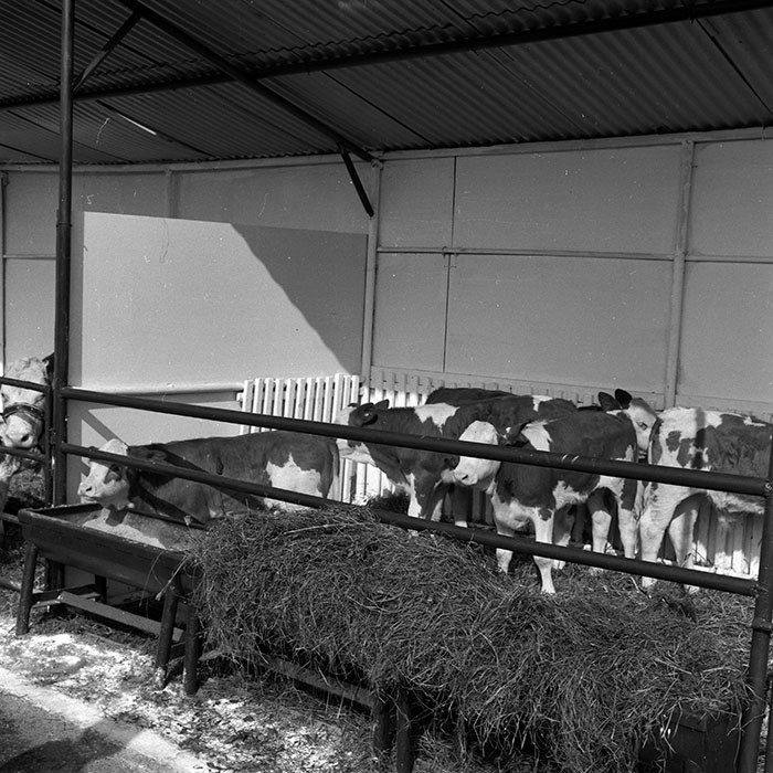 minerva_1986-1987_agrar_c4r1_010