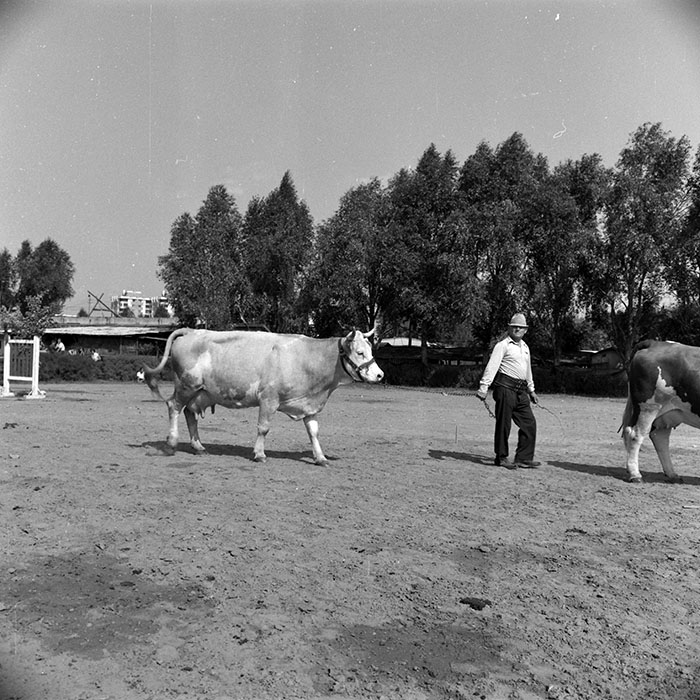 minerva_1986-1987_agrar_c4r1_013