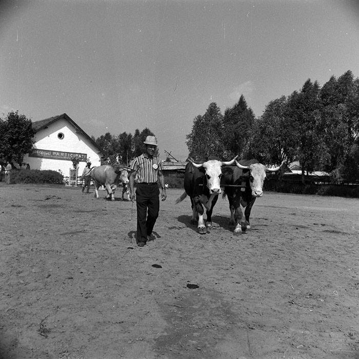 minerva_1986-1987_agrar_c4r1_014