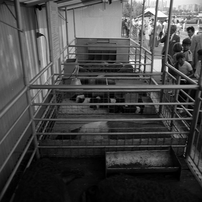 minerva_1986-1987_agrar_c4r1_021