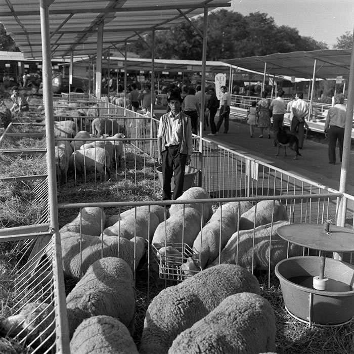 minerva_1986-1987_agrar_c4r1_024