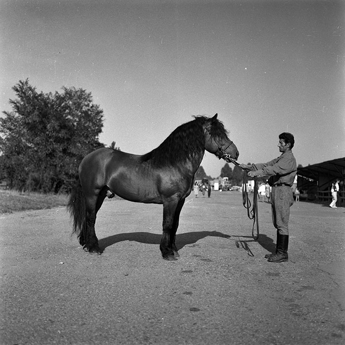 minerva_1986-1987_agrar_c4r1_026