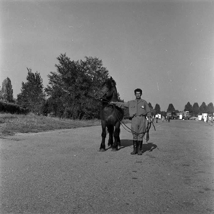 minerva_1986-1987_agrar_c4r1_028