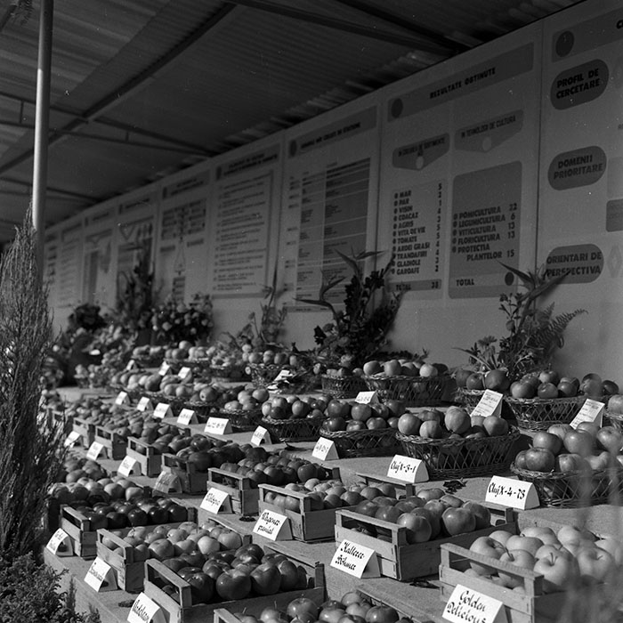 minerva_1986-1987_agrar_c4r1_032