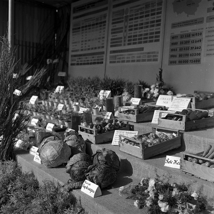 minerva_1986-1987_agrar_c4r1_033