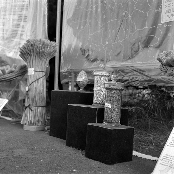 minerva_1986-1987_agrar_c4r2_002