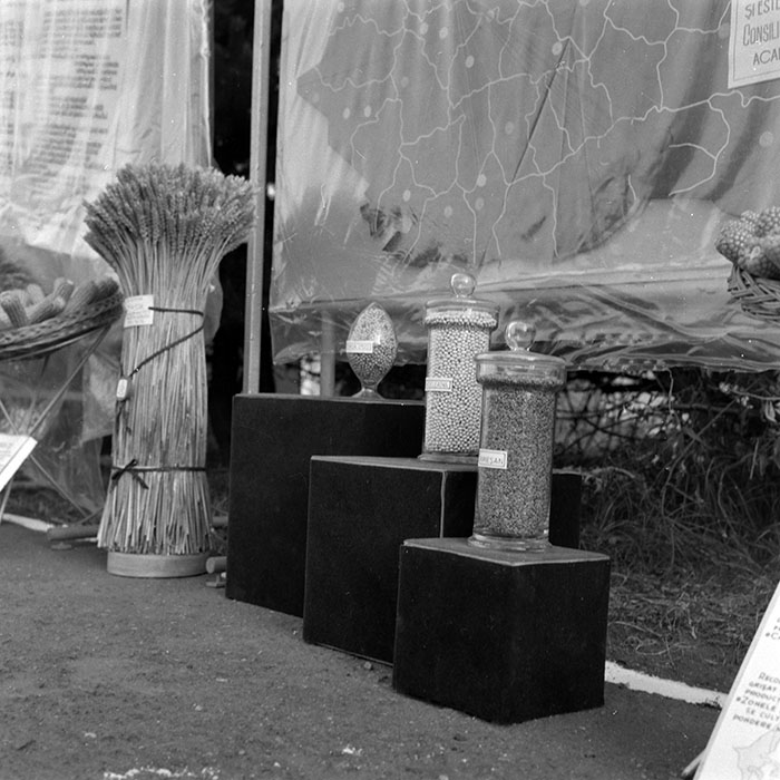 minerva_1986-1987_agrar_c4r2_003