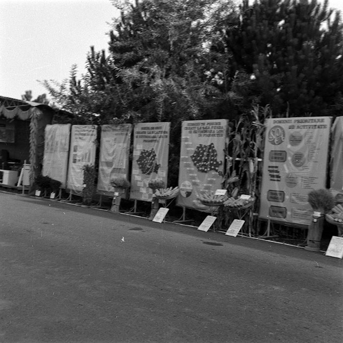 minerva_1986-1987_agrar_c4r2_004