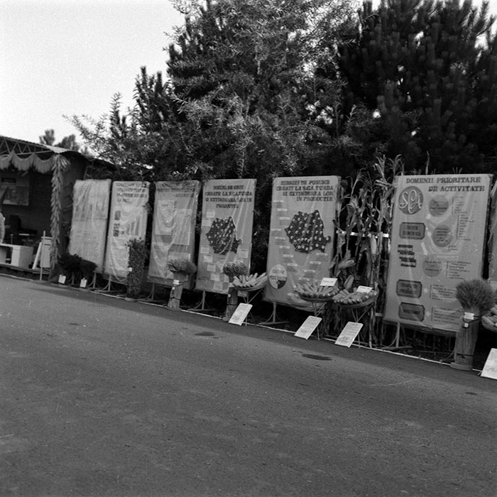 minerva_1986-1987_agrar_c4r2_005