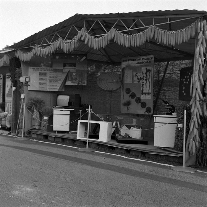 minerva_1986-1987_agrar_c4r2_006