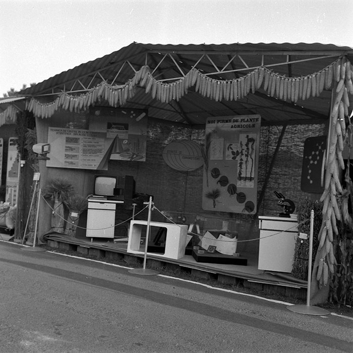 minerva_1986-1987_agrar_c4r2_007