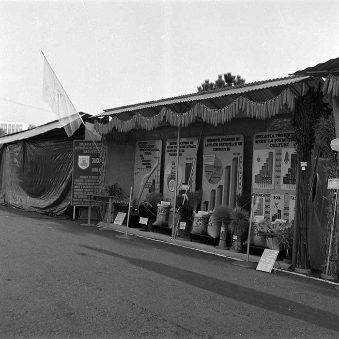 minerva_1986-1987_agrar_c4r2_008