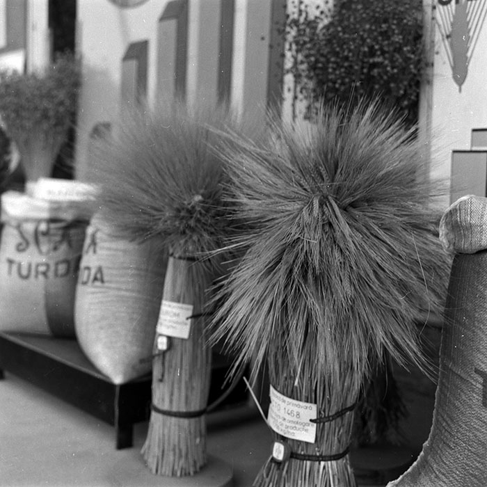 minerva_1986-1987_agrar_c4r2_009