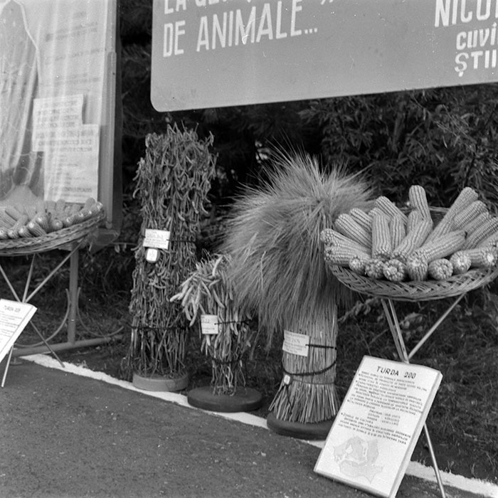 minerva_1986-1987_agrar_c4r2_012