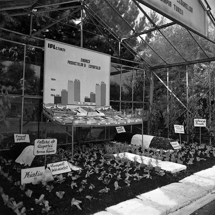 minerva_1986-1987_agrar_c4r2_014