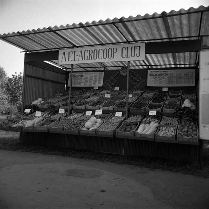 minerva_1986-1987_agrar_c4r2_015