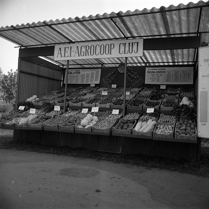 minerva_1986-1987_agrar_c4r2_016