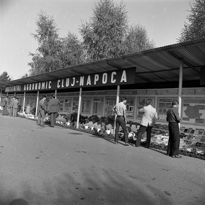 minerva_1986-1987_agrar_c4r2_017