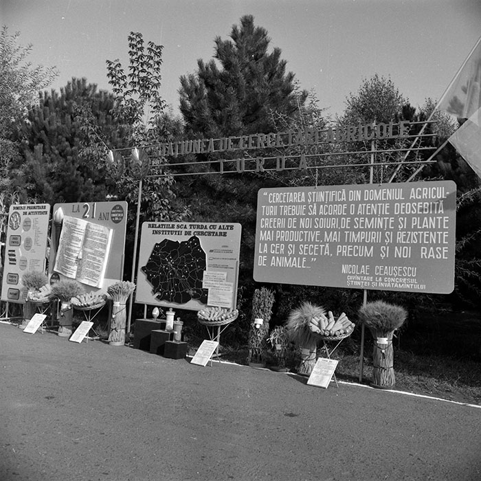 minerva_1986-1987_agrar_c4r2_019