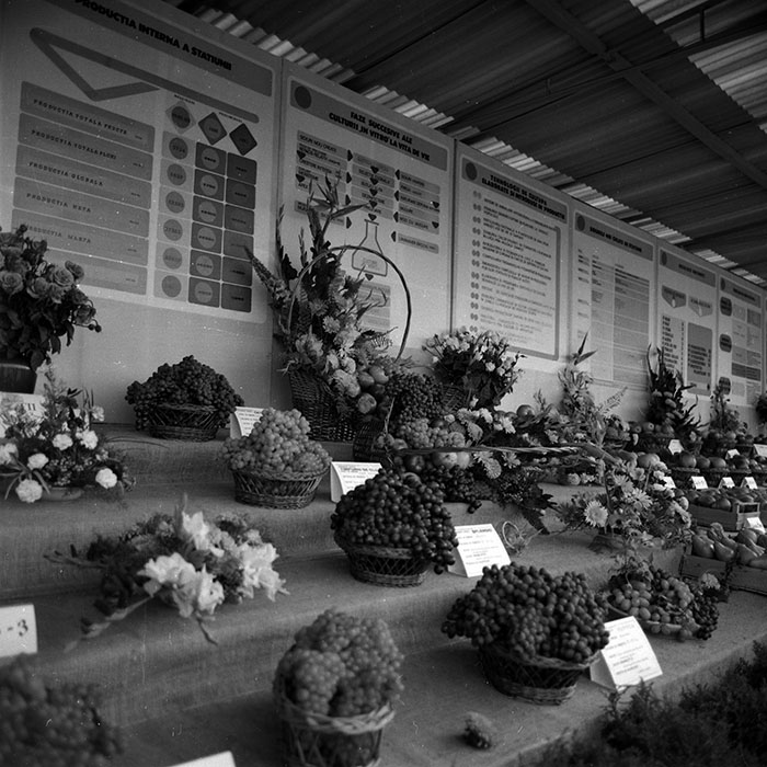 minerva_1986-1987_agrar_c4r2_022